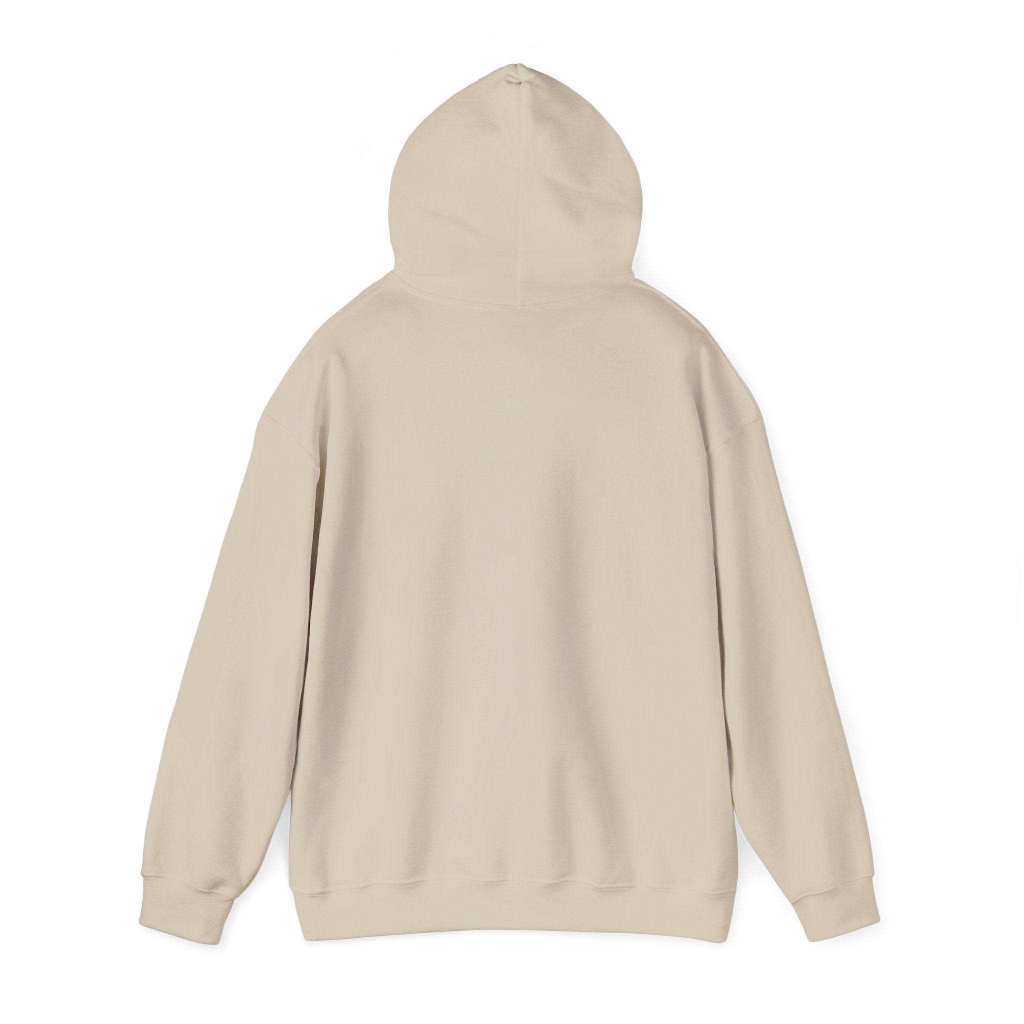 Spring Forward Hoodie - Unisex Heavy Blend Sweatshirt for Daylight Saving Time